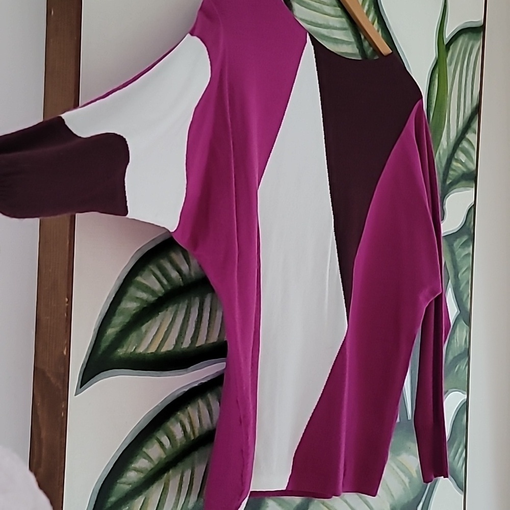 Aaeda Womens Striking Colorblock Batwing Sleeve Sweater, Size S